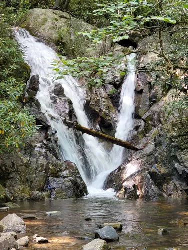 ヨーレイカ Eureka! CAMP-TRAILS Cabin Creek Cabin Creek Trail, Virginia - 701 Reviews, Map | AllTrails