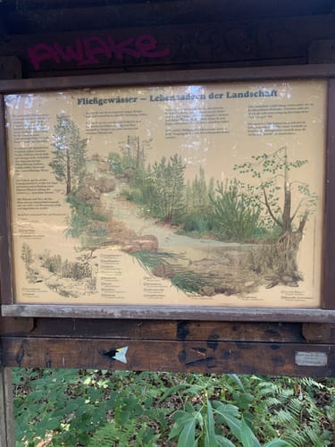 Wanderweg W8 - Este West