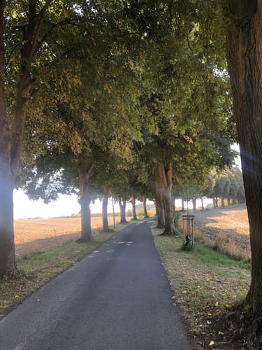 Wabe 49 Schöppingen