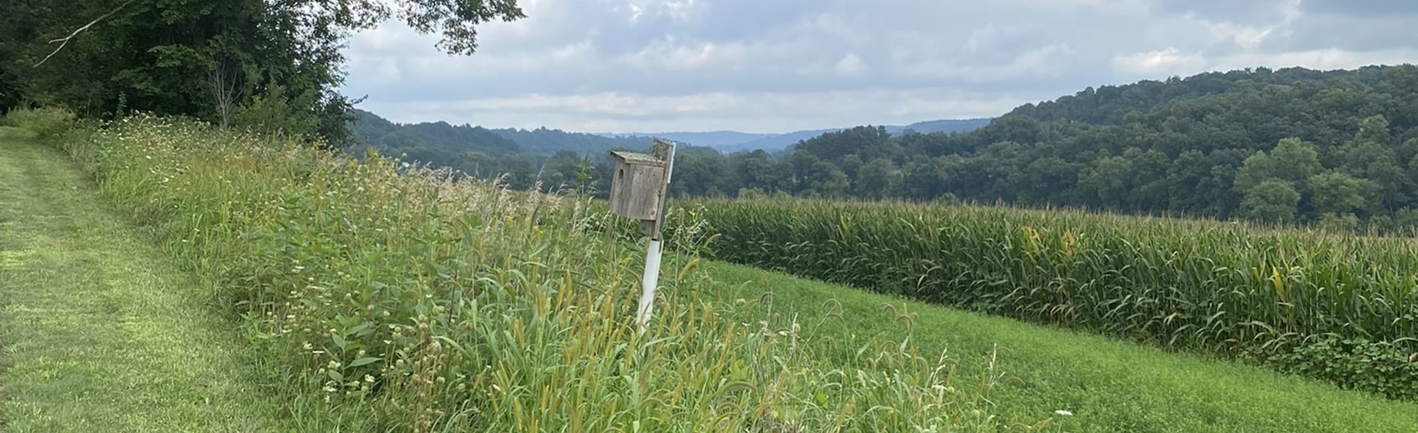 Trout Run Loop Trail 166 Reviews, Map Iowa AllTrails