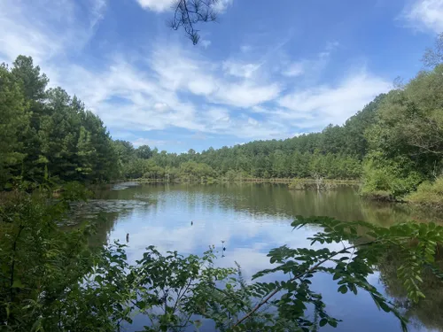 10 Best Trails and Hikes in Chapel Hill | AllTrails