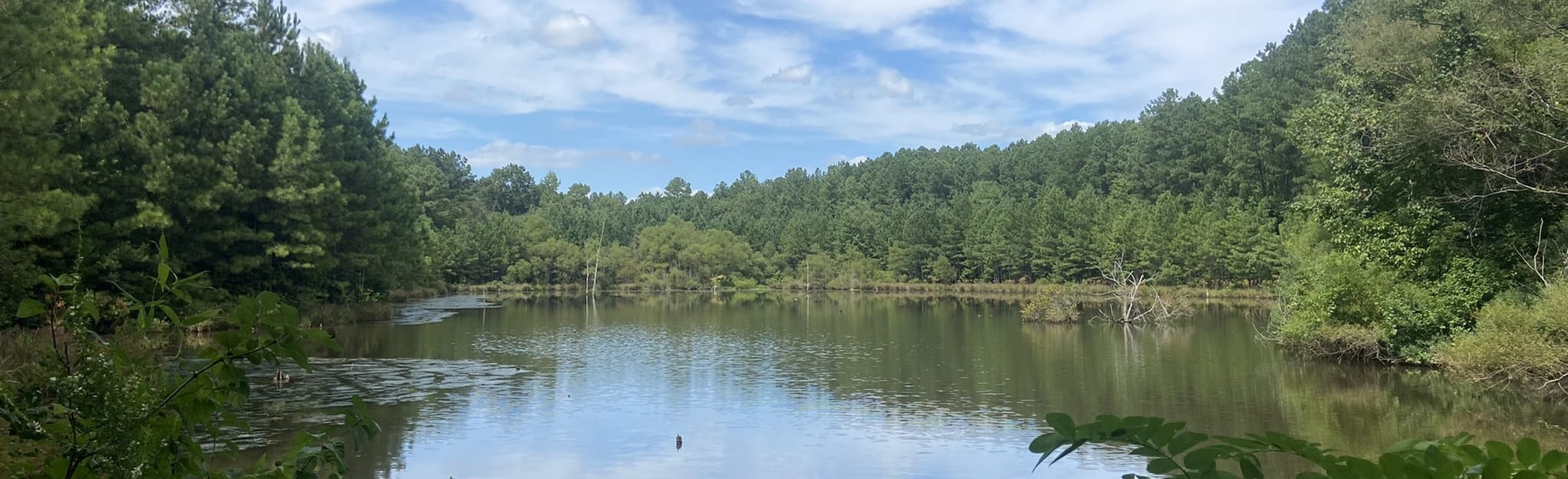 Crow Branch Overlook Loop Map, Guide North Carolina AllTrails