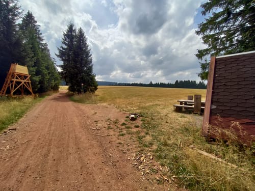 Rennsteig Etappe 3: Ebertswiese -  Grenzadler
