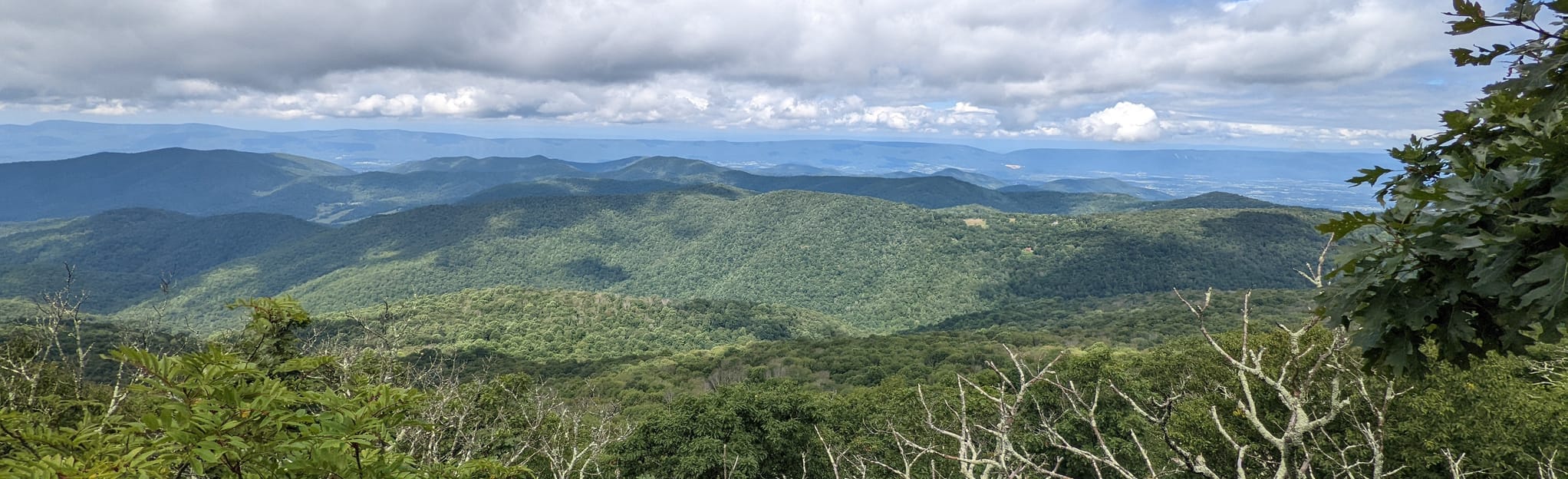Rapidan Road, Mill Prong, Laurel Prong and AT Loop Map, Guide