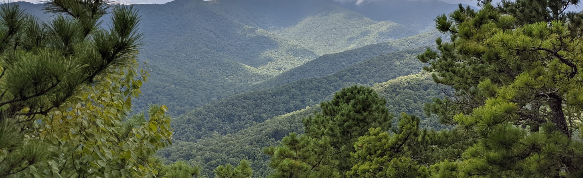 Lookout Trail, North Carolina - 2,542 Reviews, Map | AllTrails