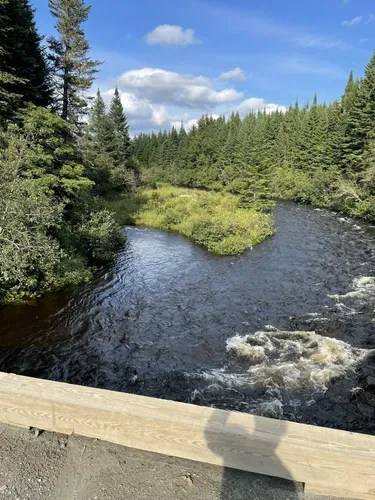 10 Best Trails and Hikes in Pittsburg AllTrails