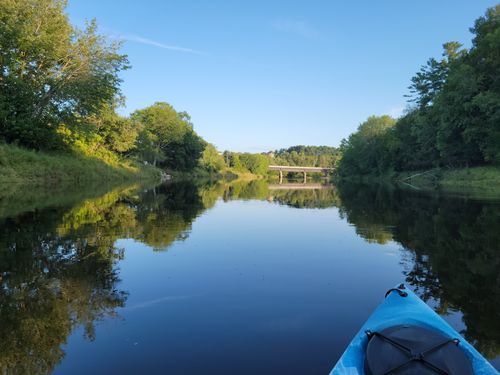 2023 Best Forest Trails in Nashwaak Bridge | AllTrails