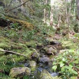 Flower Ridge, British Columbia, Canada - 169 Reviews, Map | AllTrails