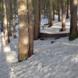 Flower Ridge, British Columbia, Canada - 169 Reviews, Map | AllTrails