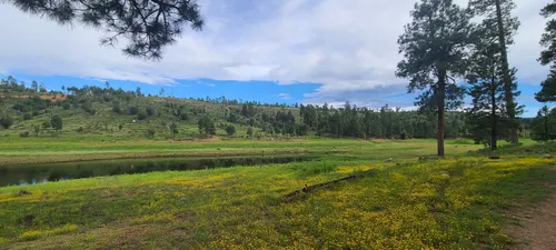 Best Lake Trails in Heber-Overgaard | AllTrails