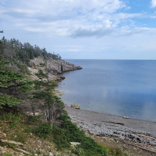 Best Hikes and Trails in Port Au Port WestAguathunaFelix Cove AllTrails