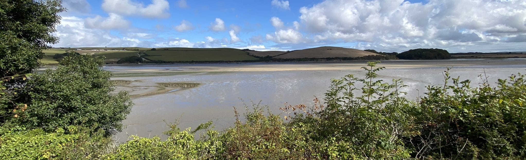 Camel Trail Padstow to Bodmin, 128 Fotos Cornwall, England AllTrails