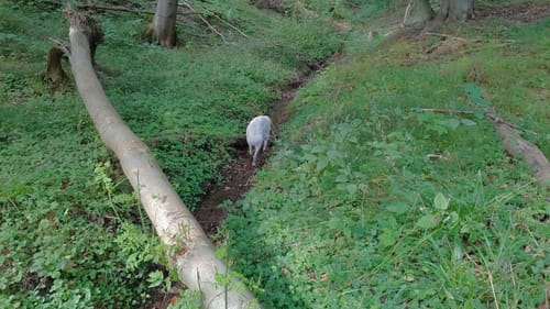 Auf Fürstlichen Spuren Rund um Putbus