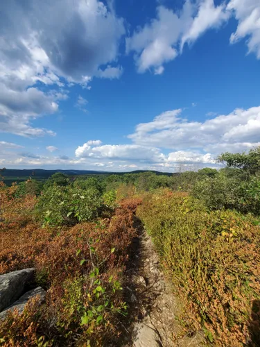 Best hikes in clearance harriman state park