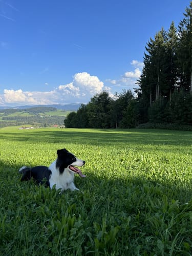 Rund um Langenried