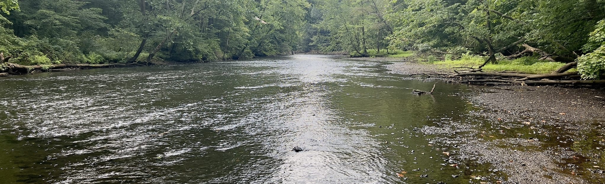 Covered Bridge and Lyons Falls via Pleasant Hill and Lyons Falls Loop