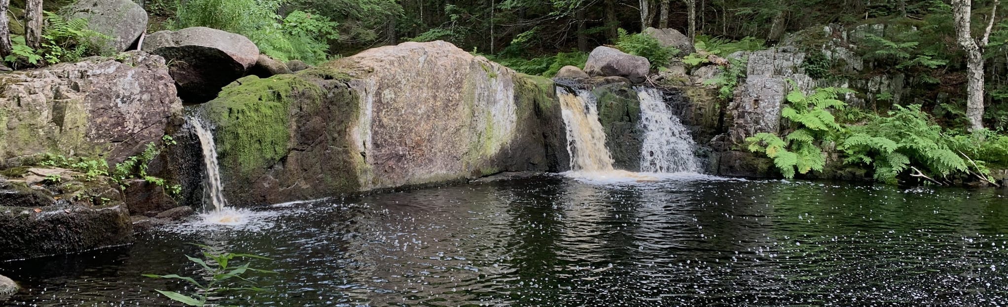AllTrails Lower Black River Falls 6 Reviews, Map Nova Scotia, Canada