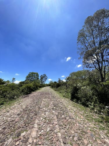 Los 10 mejores senderos en Parque Nacional el Cimatario AllTrails