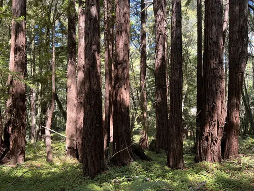 10 Best Hikes and Trails in Wilder - EyJidWNrZXQiOiJhc3NldHMuYWxsdHJhaWxzLmNvbSIsImtleSI6InVwbG9hZHMvcGhvdG8vaW1hZ2UvNTEyMjYxNDYvYTUxMzc4ZTIyNTRiOTgxODFmYmI4MmEzMTIyNDc3ZjguanBnIiwiZWRpdHMiOnsidG9Gb3JtYXQiOiJ3ZWJwIiwicmVzaXplIjp7IndpZHRoIjo1MDAsImhlaWdodCI6NTAwLCJmaXQiOiJpbnNpZGUifSwicm90YXRlIjpudWxsLCJqcGVnIjp7InRyZWxsaXNRdWFudGlzYXRpb24iOnRydWUsIm92ZXJzaG9vdERlcmluZ2luZyI6dHJ1ZSwib3B0aW1pc2VTY2FucyI6dHJ1ZSwicXVhbnRpc2F0aW9uVGFibGUiOjN9fX0=