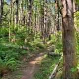 Amanda's Trail, Oregon - 156 Reviews, Map | AllTrails