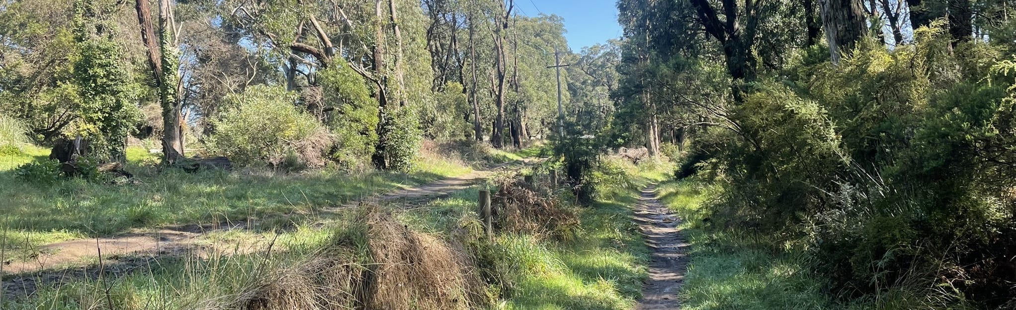 Arthur's Seat Lookout via Red Hill, Victoria, Australia 9 Reviews