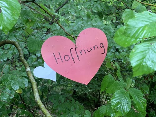 Tettnangerwald ab Laimnau