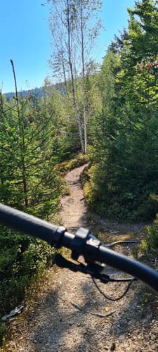 Über den Hauchenberg und die Salmaser Höhe