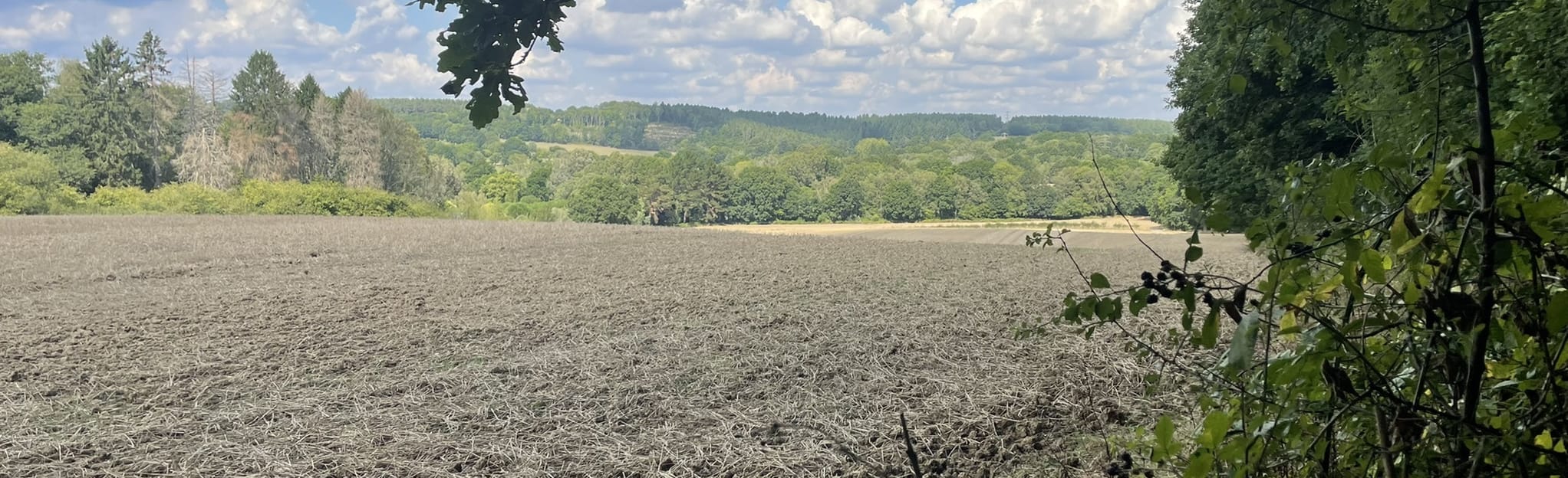 Maplehurst Cirular, West Sussex, England 9 Reviews, Map AllTrails