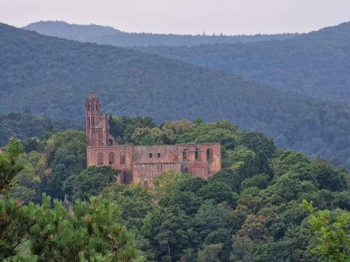 Wanderfit - Bad Dürkheim Panoramaweg des Drachenfels-Clubs