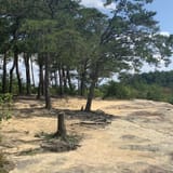 Tunnel Ridge Road, Kentucky - 469 Reviews, Map | AllTrails