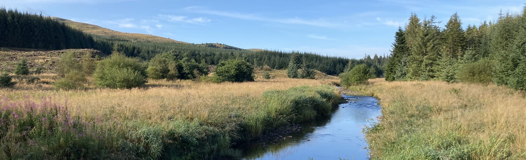 Meikle Bin 265 foto's North Lanarkshire, Schotland AllTrails