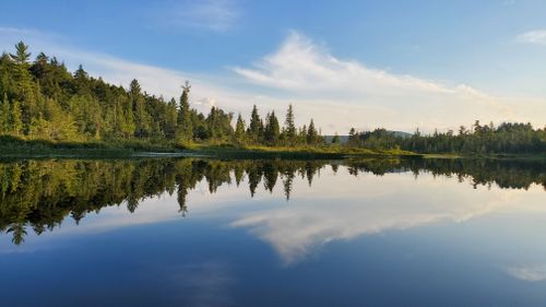 Best 10 Hikes and Trails in Blue Ridge Wilderness | AllTrails