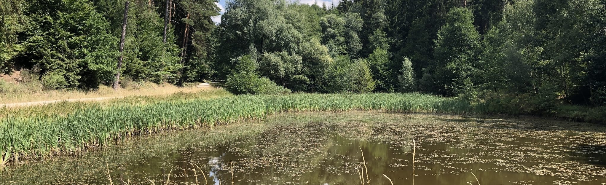 HeinrichSchützWeg, Thuringia, Germany 6 Reviews, Map AllTrails