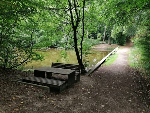 Bei Labbeck durch den Tüchelwald