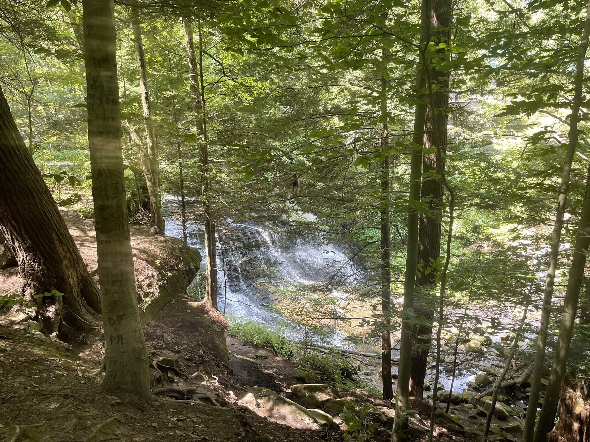 Photos of State Game Lands Number 284, Pennsylvania trails | AllTrails