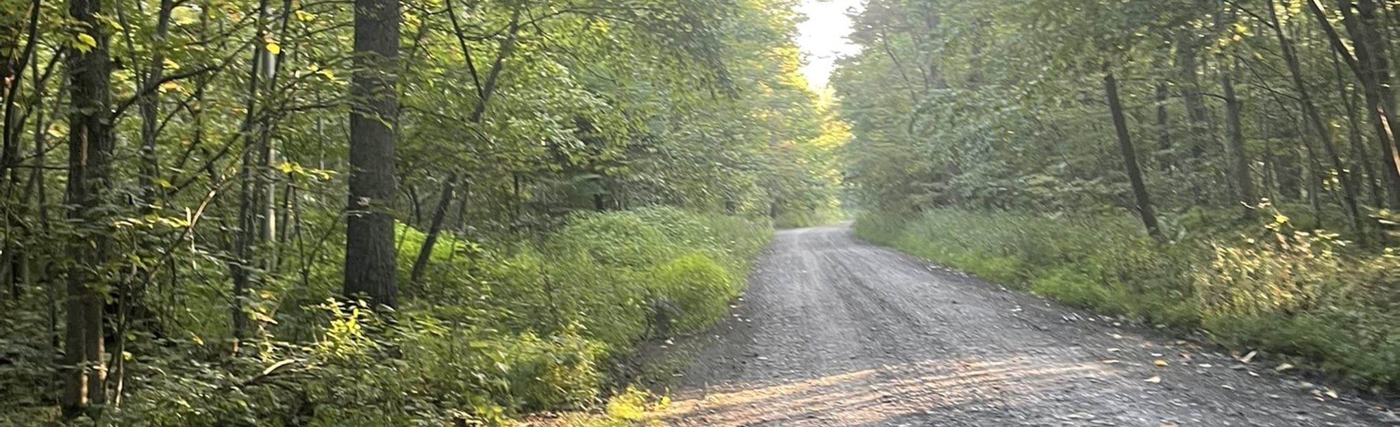 Virginia Rock via Old Green Ridge and AT Loop, Pennsylvania - 15 ...