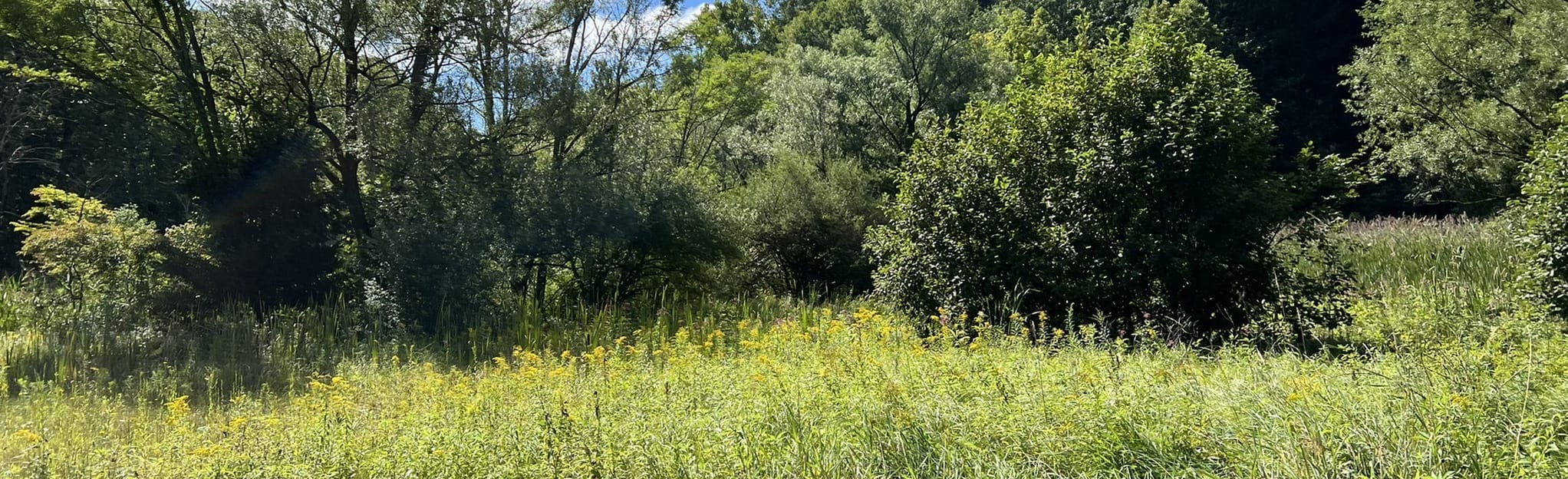 Kettle Lake Loop 122 Reviews, Map New York AllTrails