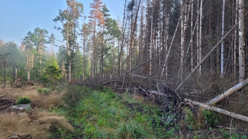 Oberlausitzer Bergweg Etappe 1: Valtenberg (Neukirch) - Sohland