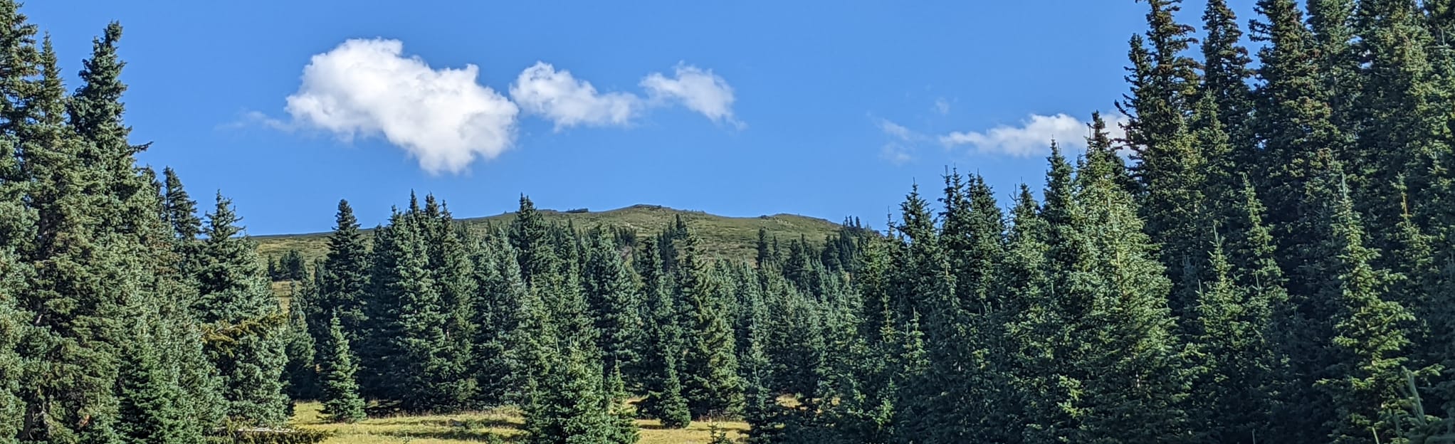 Gold Hill via Wheeler Peak, Long Canyon, and Gold Hill Trail, New Mexico 201 Reviews, Map