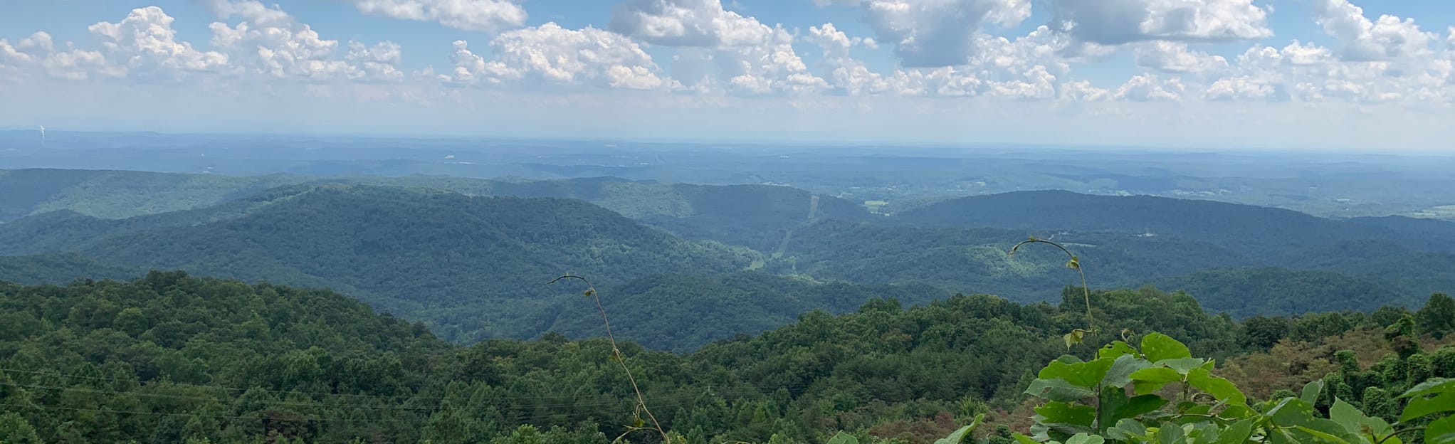 Coal Creek OHV Trail 5 Reviews, Map Tennessee AllTrails