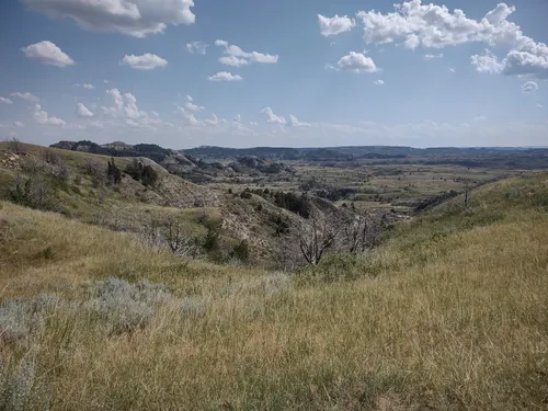 10 Best Hikes and Trails in Theodore Roosevelt National Park | AllTrails