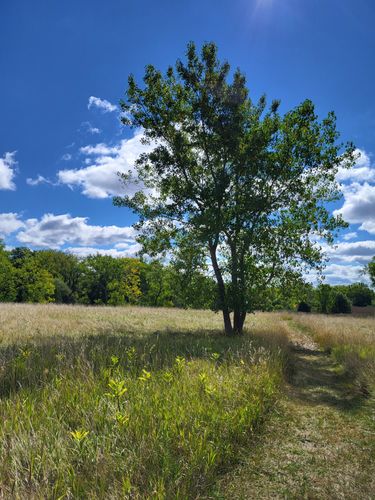 2023 Best 10 Trails and Hikes in Buffalo | AllTrails