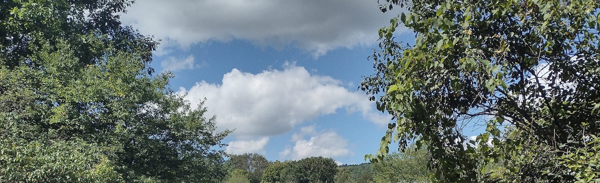 Kinderhook Creek Woods Road Trail, New York 26 Reviews, Map AllTrails