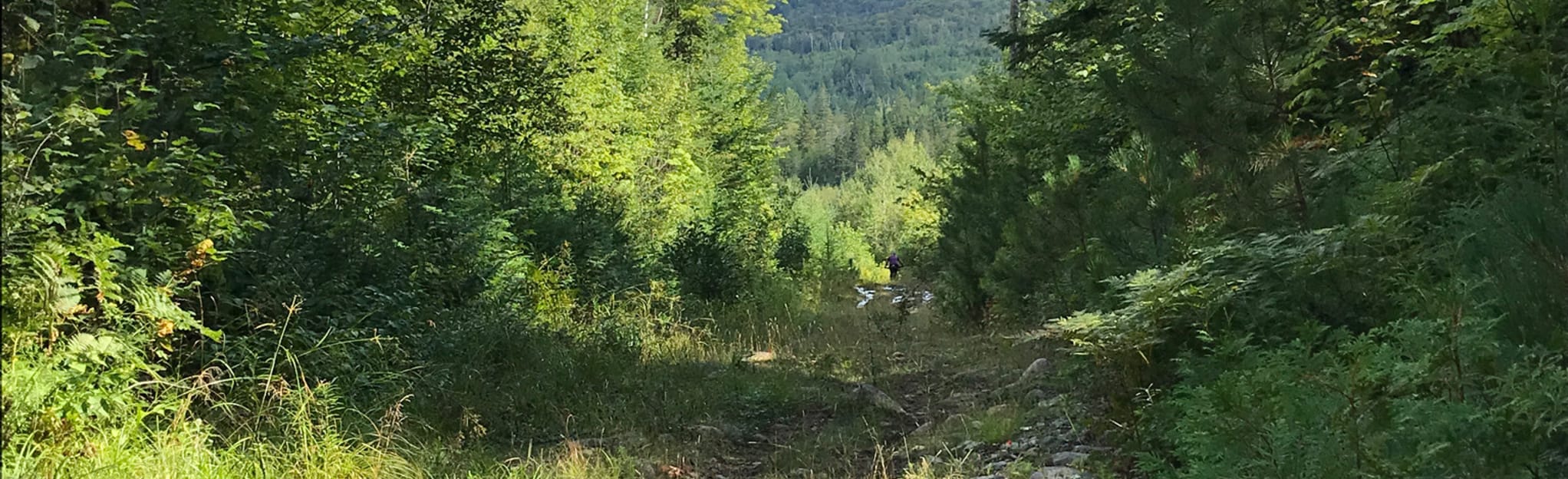 Boucle de la Rivière Dufresne, Quebec, Canada 2 Reviews, Map AllTrails