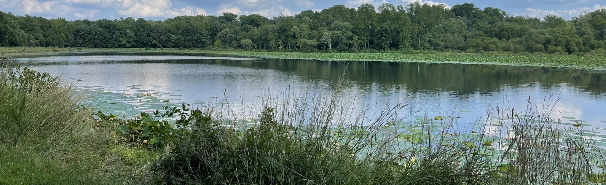 Myrtle Grove WMA Loop 24 Reviews, Map Maryland AllTrails