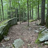 Hickory Creek Wilderness Trail, Pennsylvania - 346 Reviews, Map | AllTrails
