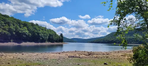 10 Best Hikes and Trails in Allegheny National Forest | AllTrails