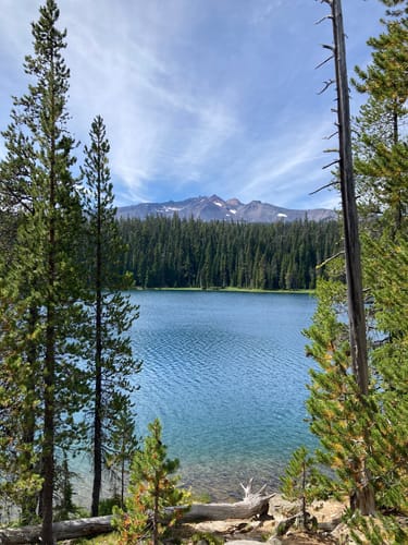 Best 10 Hikes and Trails in Diamond Peak Wilderness AllTrails