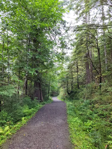 10 Best Trails and Hikes in Ketchikan | AllTrails