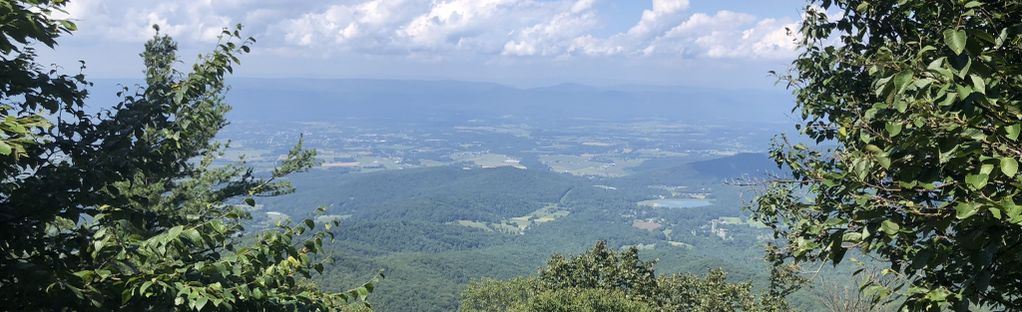 are dogs allowed on appalachian trail